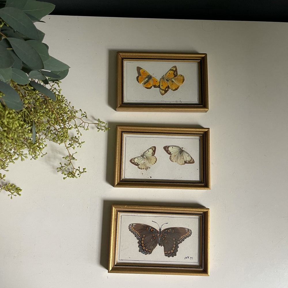 Vintage butterfly art